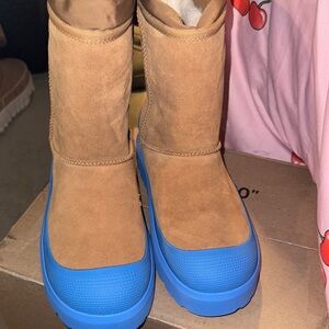Brown and Blue Ugg Boots